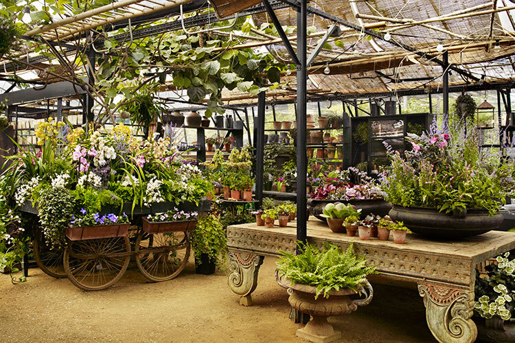 Petersham Nurseries Richmond