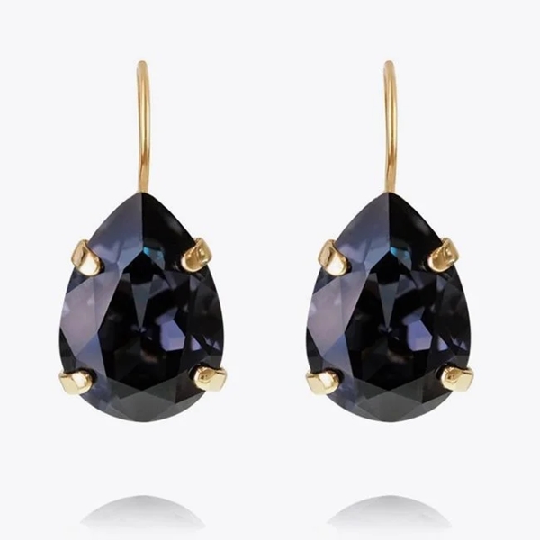 Caroline Svedbom clasp earrings in black