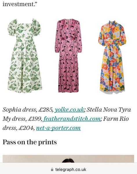 Stella Nova in the Telegraph