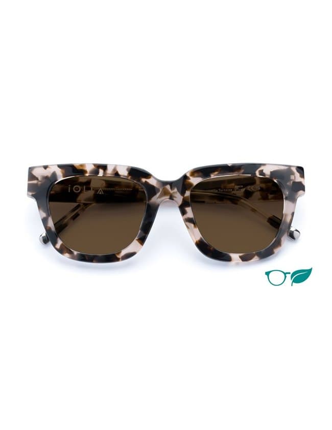 IOLLA ferguson sunglasses - vanilla tortoise