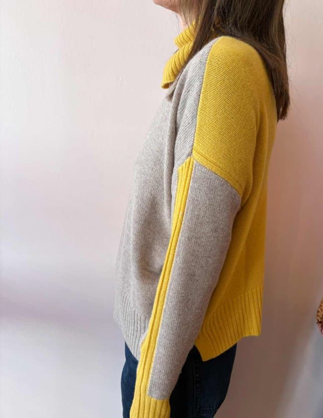 Absolut Cashmere candace jumper - chestnut combo back