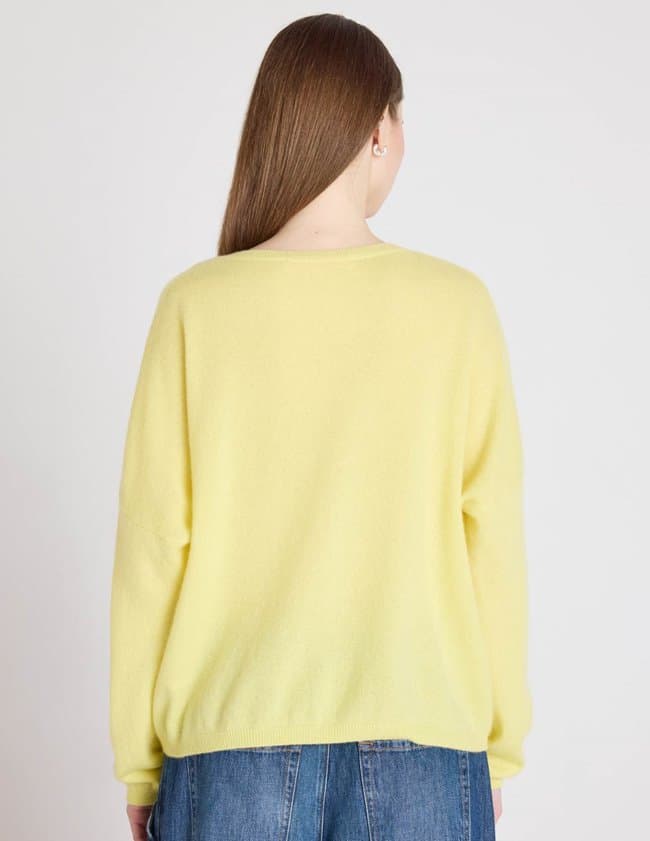 Absolut Cashmere alicia jumper - lemon model