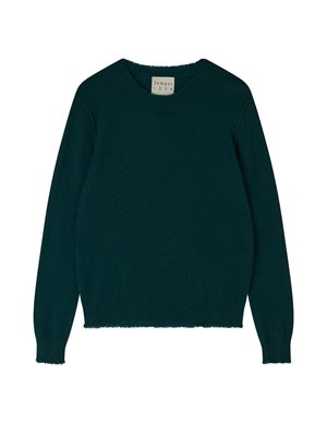 Jumper 1234 distressed crew jumper - sacramento back