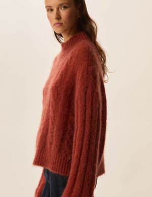 Des Petits Hauts alonzo jumper - fox detail