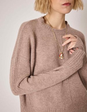 Absolut Cashmere candace jumper - chestnut back