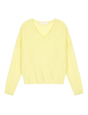 Absolut Cashmere alicia jumper - lemon back